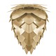 CONIA Brushed Brass G40 by UMAGE