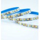 ΤΑΙΝΙΑ LED 5M 9,6W 12V 6500K 120L/M IP20 PLUS EUROLAMP