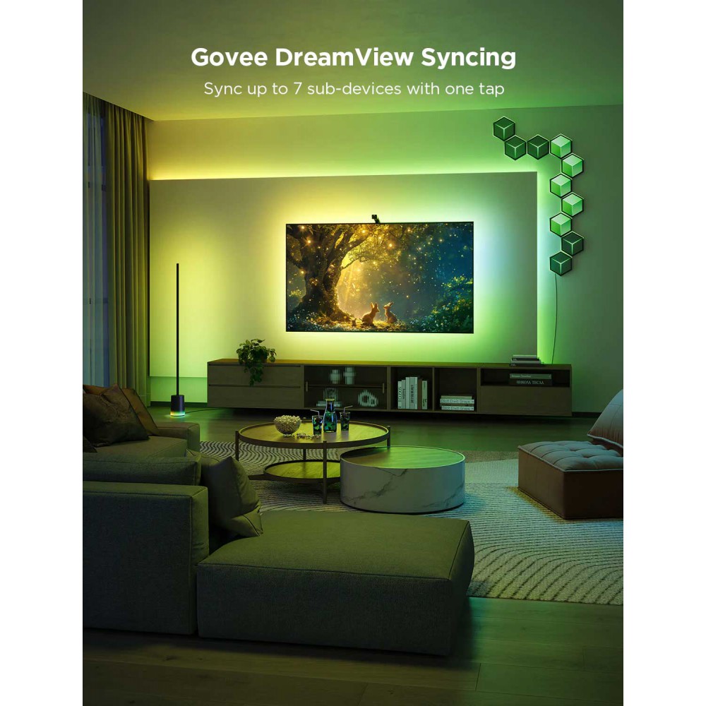 Govee H6099 TV Backlight 3 Lite για τηλεόραση 75"-85"