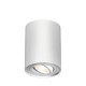 Σποτ Οροφής Άσπρο Κύλινδρος 1xGU10 GAMA-SR - Braytron