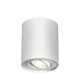 Σποτ Οροφής Άσπρο Κύλινδρος 1xGU10 GAMA-SRM - Braytron