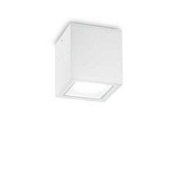 Φωτιστικό Οροφής Αλουμινίου σε Λευκό Χρώμα IP54 1xGU10 Techo pl1 big -  IDEAL LUX