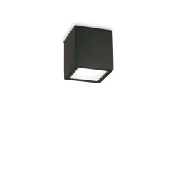 Φωτιστικό Οροφής Αλουμινίου σε Μαύρο Χρώμα IP54 1xGU10 Techo pl1 small -  IDEAL LUX