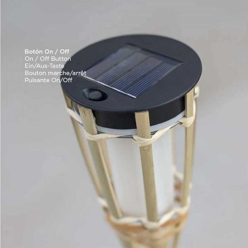 Ηλιακό Καρφωτό Φωτιστικό Κήπου HIAMA με Εφέ Φλόγας- New Garden