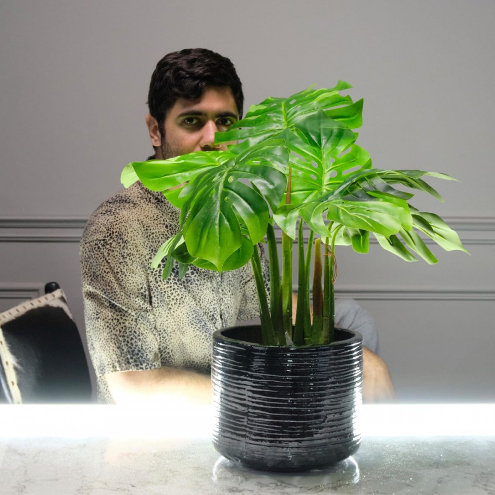 Τεχνητο Φυτο Μονστερα Deliciosa "Tropic" Πρασινο 80 εκ.