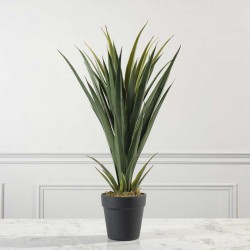 Τεχνητό Φυτό Γιούκα Palm 60 εκ
