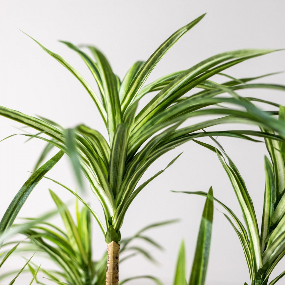 Τεχνητο Φυτο Δρακαινα Πρασινο 80 εκ.