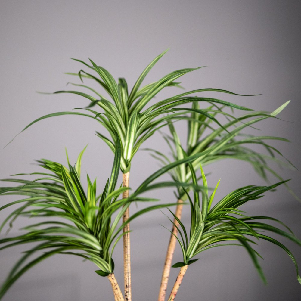 Τεχνητο Φυτο Δρακαινα Πρασινο 80 εκ.