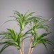 Τεχνητο Φυτο Δρακαινα Πρασινο 80 εκ.
