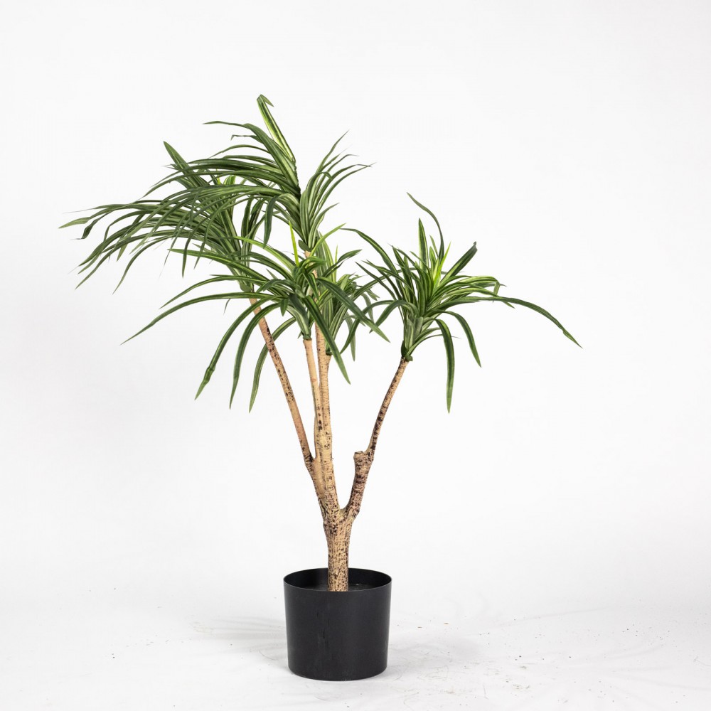 Τεχνητο Φυτο Δρακαινα Πρασινο 80 εκ.