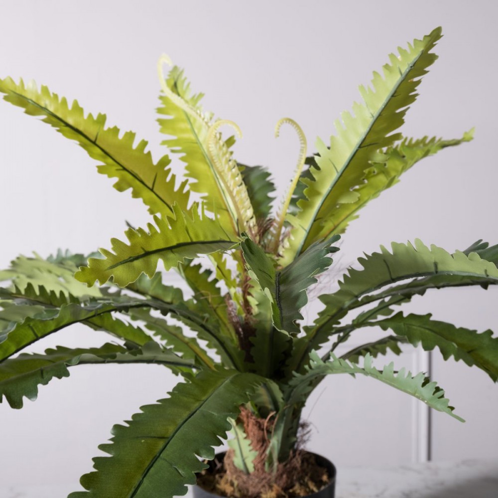 Τεχνητο Φυτο Ασπληνιο Antiquum "Fern" Πρασινο 50 εκ.