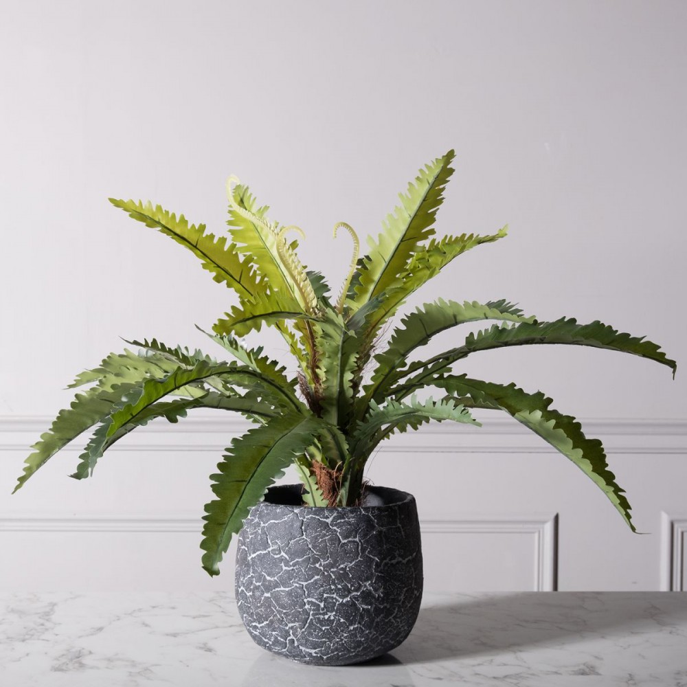 Τεχνητο Φυτο Ασπληνιο Antiquum "Fern" Πρασινο 50 εκ.