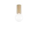 Petit pl1 Μονό Σποτ με Ντουί E27 σε Χρυσό Χρώμα  Ideal Lux