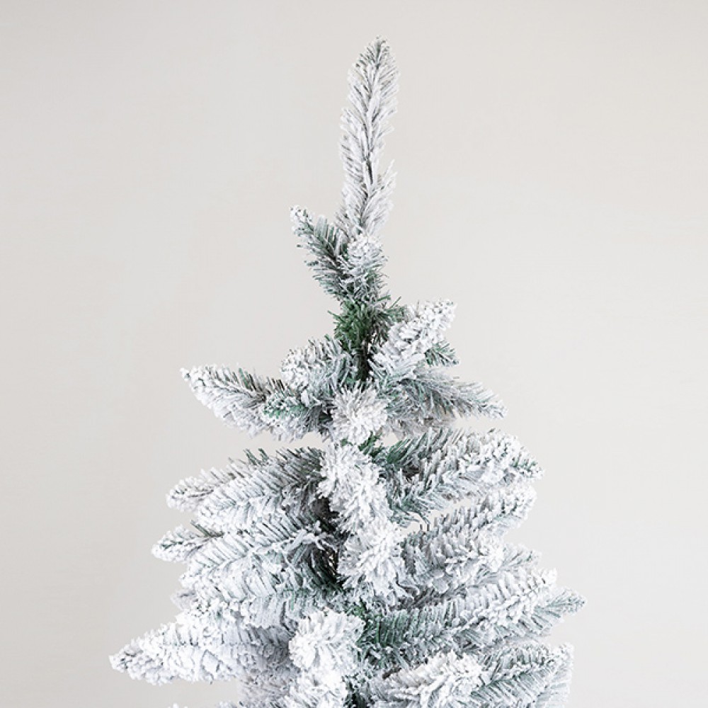 ΔΕΝΤΡΟ ΕΛΑΤΟ ΧΙΟΝΙΣΜΕΝΟ, ΣΚΩΤΙΑ, 210cm