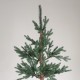 ΔΕΝΤΡΟ ΔΑΝΙΑ, PE KAI PVC, ΜΕ ΞΥΛΙΝΟ ΚΟΡΜΟ ΣΤΗ ΒΑΣΗ, 210cm