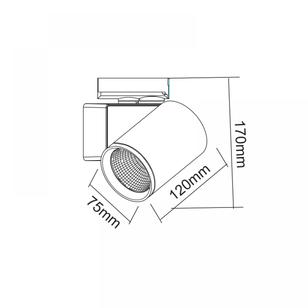 LED ΣΠΟΤ ΡΑΓΑΣ 2 ΚΑΛΩΔΙΩΝ 20W 4000K 1-PHASE 38° 2400LM 230V AC Ra80 5YRS