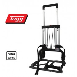 ΠΛΑΤΦΟΡΜΑ ΜΕΤΑΦΟΡΑΣ TROLLEY TAYG