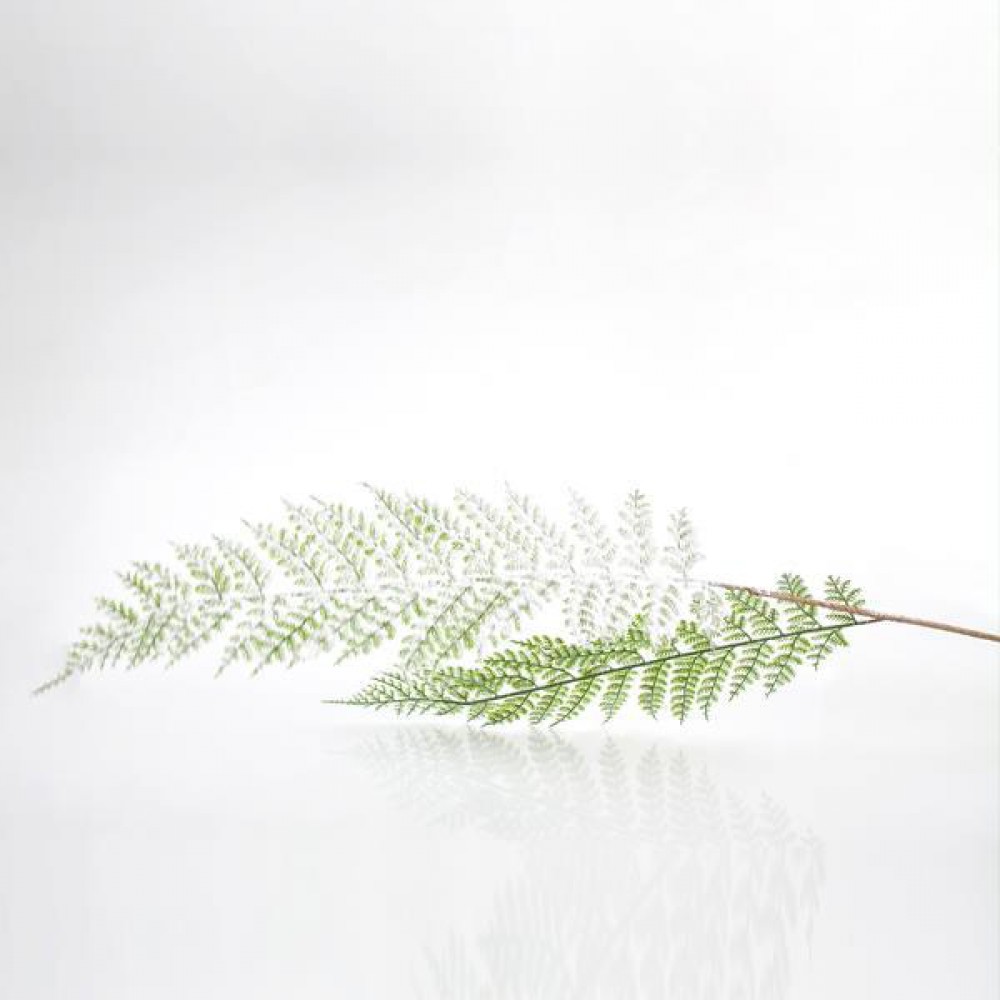 ΚΛΑΔΙ ΦΤΕΡΗ, ΜΕΝΤΑ, 92cm ΚΛΑΔΙ ΦΤΕΡΗ, ΜΕΝΤΑ, 92cm