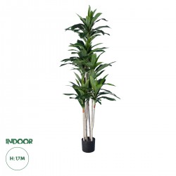 GloboStar® Artificial Garden DRACAENA SILK 20044 - Τεχνητό Διακοσμητικό Φυτό Δράκαινα Υ170cm