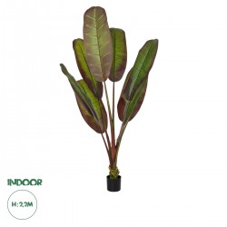 GloboStar® Artificial Garden BLOODY BANANA TREE 20119 - Τεχνητό Διακοσμητικό Φυτό Αιματόφυλλη Μπανανιά - Μπανανόδεντρο Υ220cm