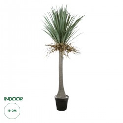 GloboStar® Artificial Garden BEAUCARNEA PALM TREE 20047 Τεχνητό Διακοσμητικό Φυτό Κυρτόφυλλος Μπουκαρνέα Υ200cm