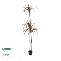 GloboStar® Artificial Garden DRAGON BLOOD TREE 20371 - Τεχνητό Διακοσμητικό Φυτό Δράκαινα Υ220cm