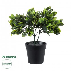 GloboStar® Artificial Garden ANUBIA BARTERI 20390 Τεχνητό Διακοσμητικό Φυτό Ανούμπια Υ30cm