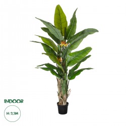 GloboStar® Artificial Garden BANANA STRELITZIA REGINAE 20381 - Τεχνητό Διακοσμητικό Φυτό  Μπανανιά - Στρελίτσια - Πουλί του Παραδείσου Υ230cm