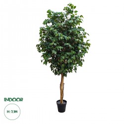 GloboStar® Artificial Garden FICUS BENJAMINA TREE 20431 Τεχνητό Διακοσμητικό Φυτό Φίκος Μπενζαμίνη Υ210cm