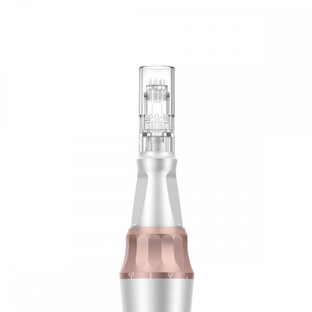 B-MESO - ΣΥΣΚΕΥΗ ΜΕΣΟΘΕΡΑΠΕΙΑΣ MICRONEEDLING