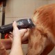 COLOUR PRO 3027682 - Επαναφορτιζόμενη Κουρευτική Μηχανή για Κατοικίδια
