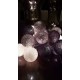 Έτοιμη Διακοσμητική Γιρλάντα Beelights Με Φωτάκια Σε Χρωματισμούς Precious Silver