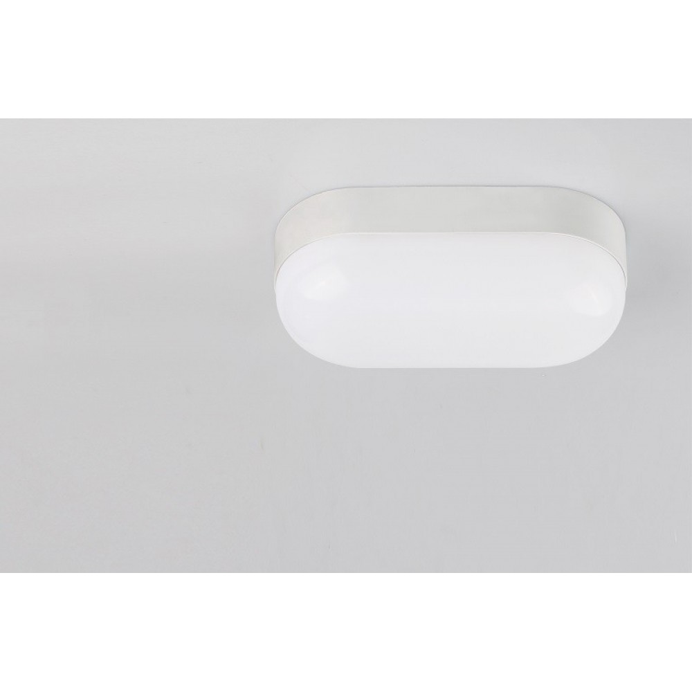 LED Χελώνα Λευκή 230V IP65 8W Θερμό Λευκό Seaside Universe 