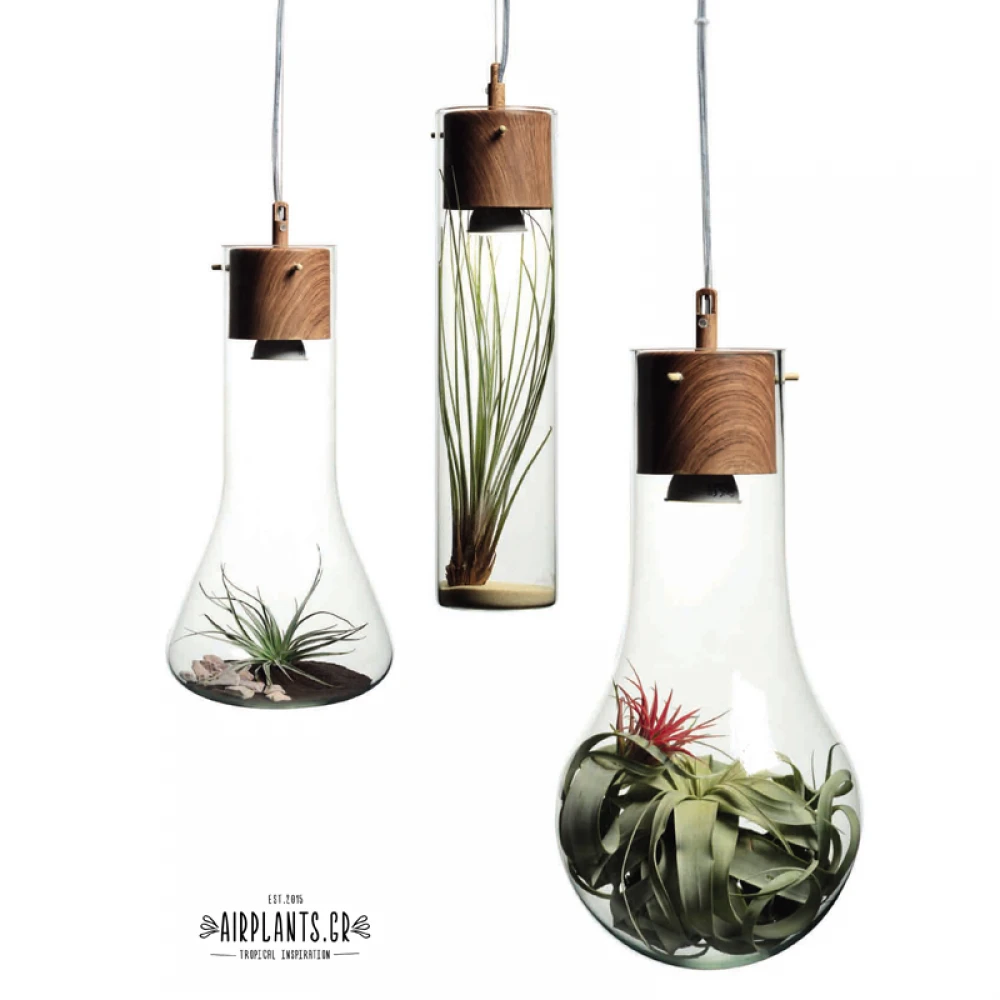 Μεταλλικό Κρεμαστό Φωτιστικό Σωλήνας Με Βάση Βαμένη Σαν Ξύλο Σε Στυλ Βάζου 400x100 1xGU10 ACA