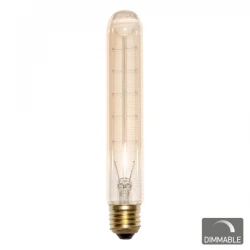 Διακοσμητική Λάμπα E27 T28 40W Dimmable SpotLight