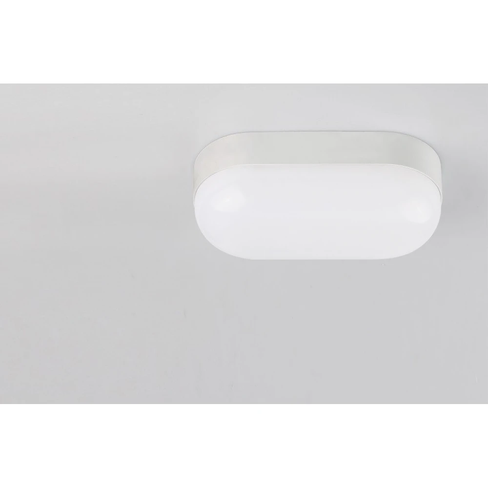 LED Χελώνα Λευκή 230V IP65 8W Θερμό Λευκό Seaside Universe 