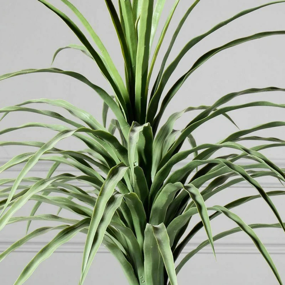 ΤΕΧΝΗΤΟ ΦΥΤΟ ΝΟΛΙΝΑ 70 ΕΚ.