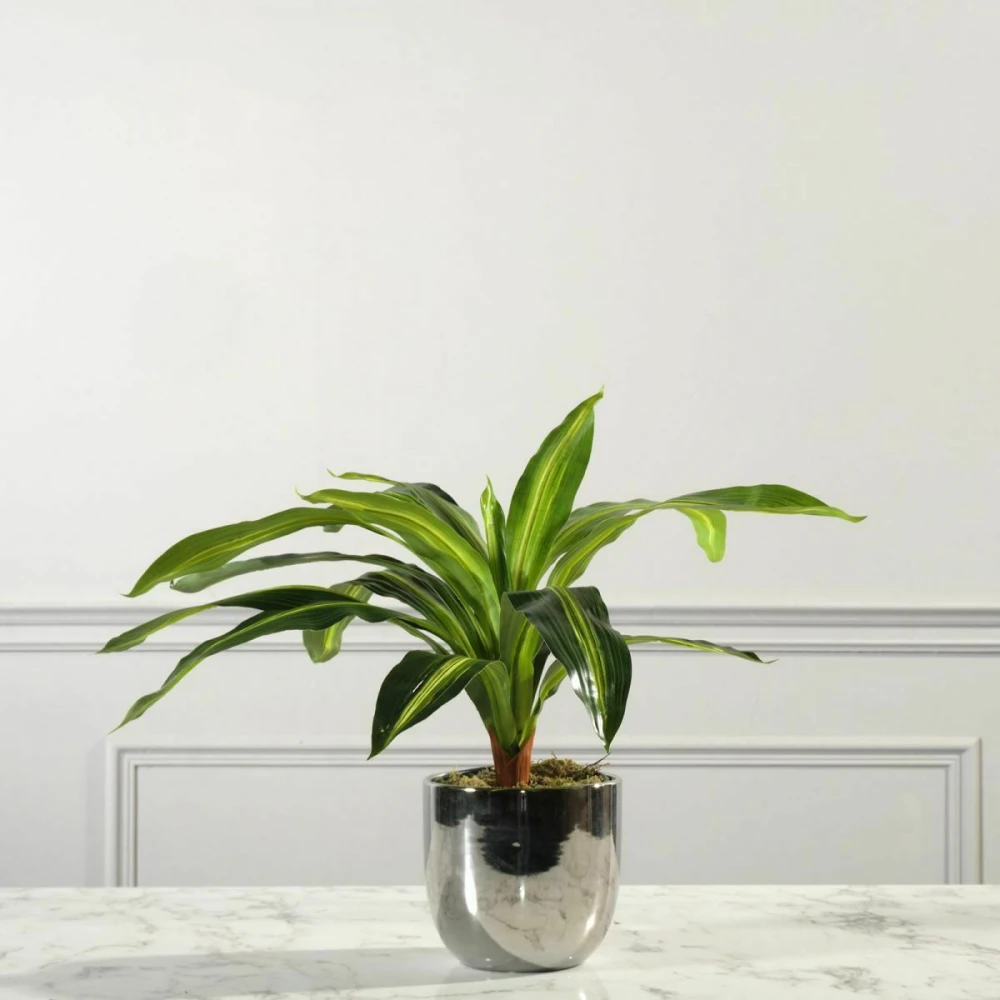 ΤΕΧΝΗΤΟ ΦΥΤΟ ΔΡΑΚΑΙΝΑ FRAGRANS 40 ΕΚ.