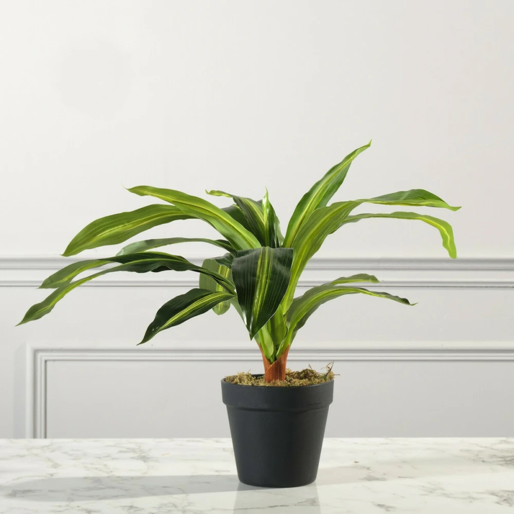 ΤΕΧΝΗΤΟ ΦΥΤΟ ΔΡΑΚΑΙΝΑ FRAGRANS 40 ΕΚ.