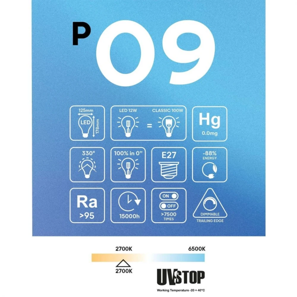 Λαμπτήρας LED Εφέ Πορσελάνης CRI 95 G125 12W 1521Lm E27 2700K Dimmable - P09