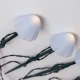 ΣΕΙΡΑ ΜΕ 8 LED ΛΕΥΚΑ ΠΛΑΣΤΙΚΑ ΜΑΝΙΤΑΡΙΑ H20cm ΚΑΙ ΗΛΙΑΚΟ ΠΑΝΕΛ ΜΕ ΑΙΣΘΗΤΗΡΑ ΦΩΤΟΣ, ΠΡΑΣΙΝΟ PVC ΚΑΛΩΔΙΟ, ΘΕΡΜΟ ΛΕΥΚΟ LED ANA 50cm IP44