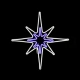 "NORTH STAR" 600 NEON LED 6m DOUBLE SMD ROPE LIGHT, CW+BLUE STEADY,IP44, 81Χ81CM,1.5m ΚΑΛ. ΤΡΟΦ. - ACA Christmas