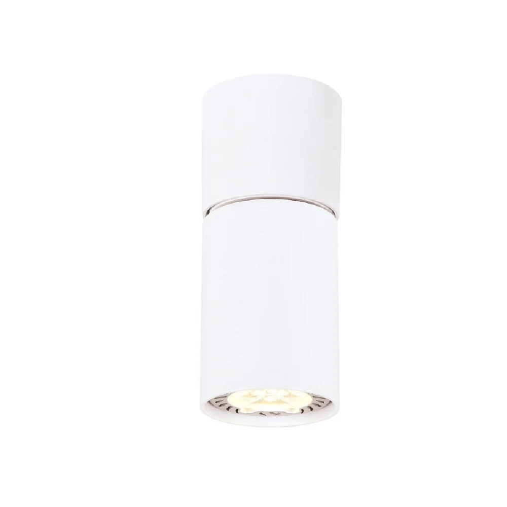 Σποτ Ρυθμιζόμενο Σε Λευκό Χρώμα 1XGU10 ELITIS - Aca Decor