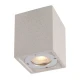 Σποτ Οροφής Εξωτερικού Χώρου Από Τσιμέντο Σε Λευκό Χρώμα 1x GU10 IP65 AGNES - ACA