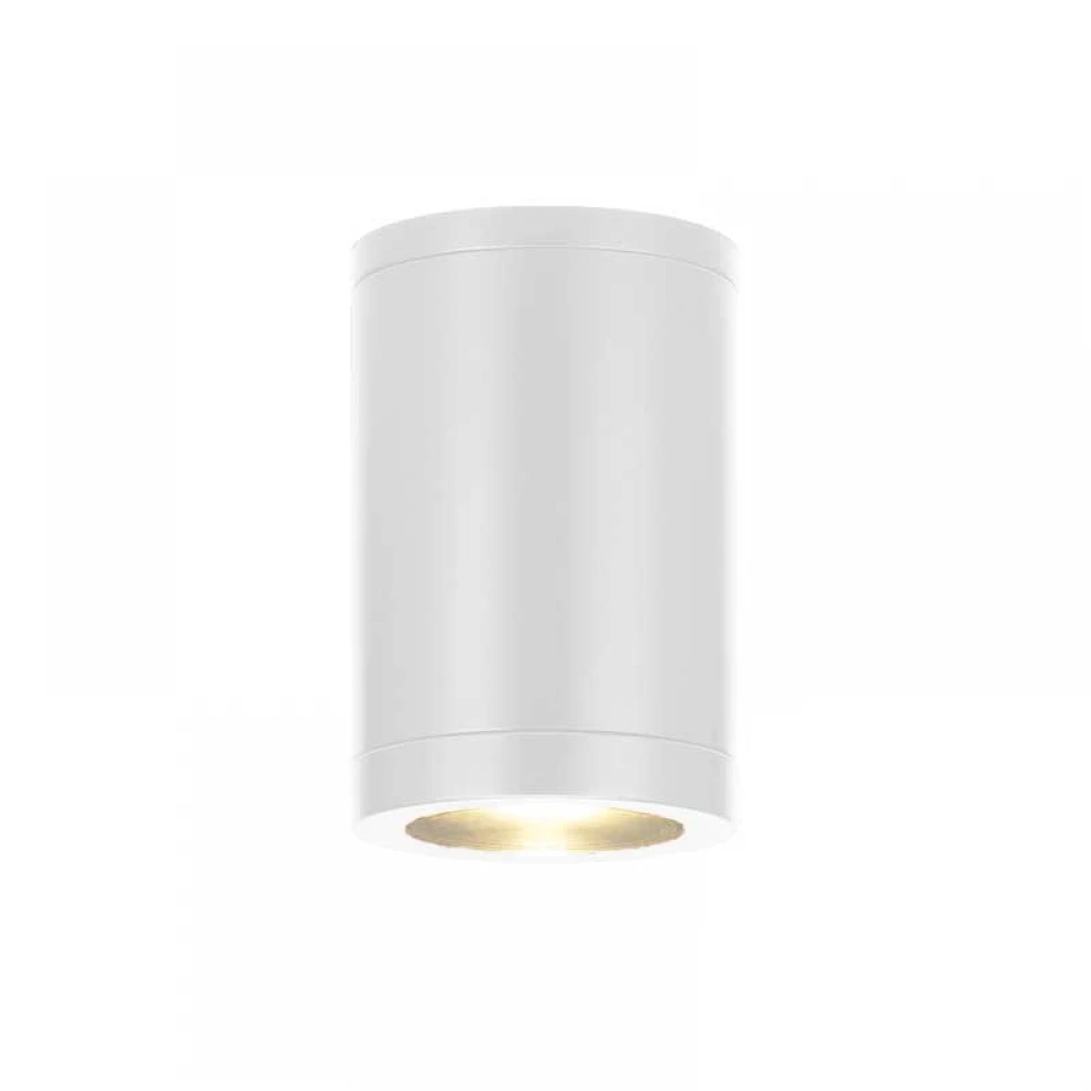Σποτ Οροφής Κυλινδρικό Εξωτερικού Χώρου Λευκό Ματ IP67 1xGU10 - Aca