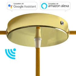 SMART Ροζέτα Φωτιστικού Μεταλλική πλακέ 1 τρύπα στο κέντρο + 2 στο πλάι και στήριγμα καλωδίου - συμβατή με φωνητικές βοηθούς - Χρυσό - Creative Cables