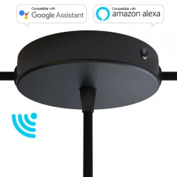 SMART Ροζέτα Φωτιστικού Μεταλλική πλακέ 1 τρύπα στο κέντρο + 2 στο πλάι και στήριγμα καλωδίου - συμβατή με φωνητικές βοηθούς - Μαύρο - Creative Cables