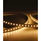 Ταινία LED TΩRA 9.6 Watt/m 24V CRI80 IP67 120 LED/m - 5 μέτρα Ψυχρό Λευκό 6000K - CUBALUX