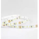 ΤΑΙΝΙΑ LED 5M 8W 24V 6500K 120L/M IP20 PLUS EUROLAMP