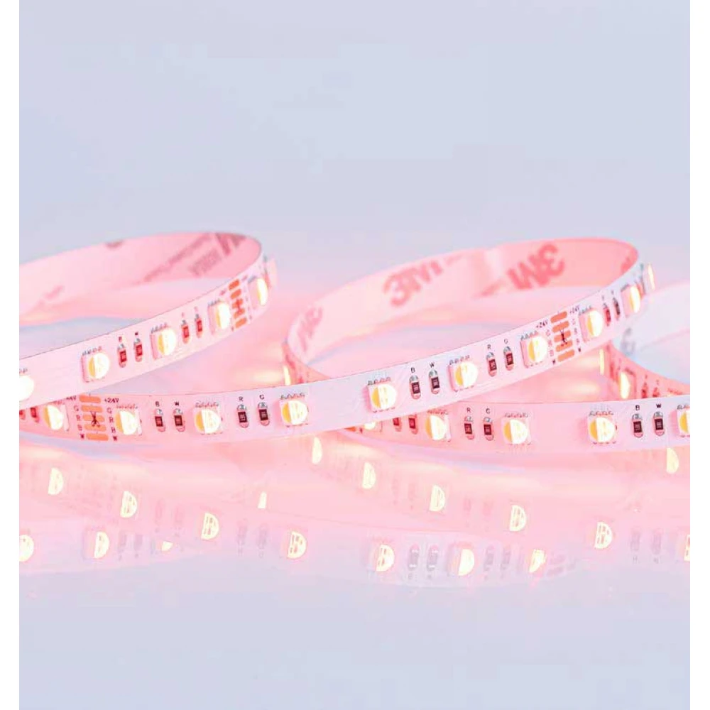 ΤΑΙΝΙΑ LED 5M 16W 24V RGBW + 6500K 60L/M IP20 PRO EUROLAMP